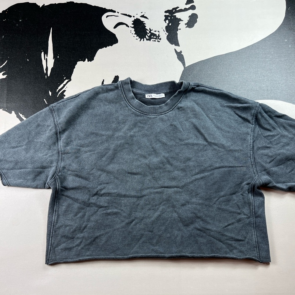 Zara Charcoal Crew Neck Crop Top